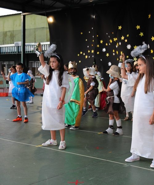 primaria-8